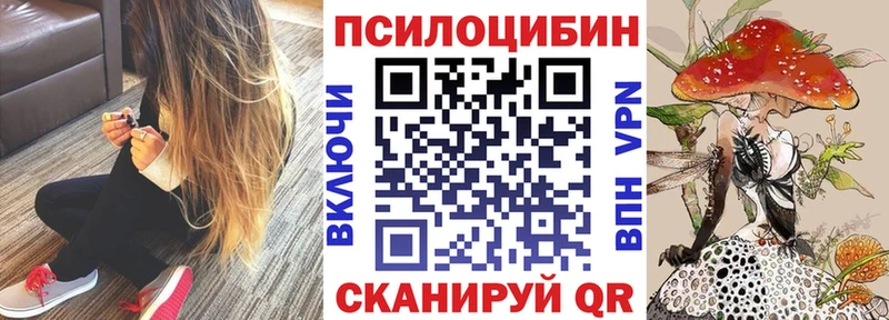 Псилоцибиновые грибы мухоморы  mega вход  Еманжелинск  цены  