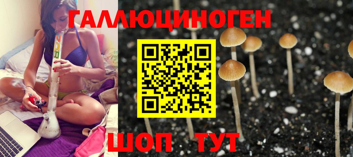 Псилоцибиновые грибы мицелий  Галлюциногенные грибы Psilocybe  Еманжелинск  Вход с VPN 