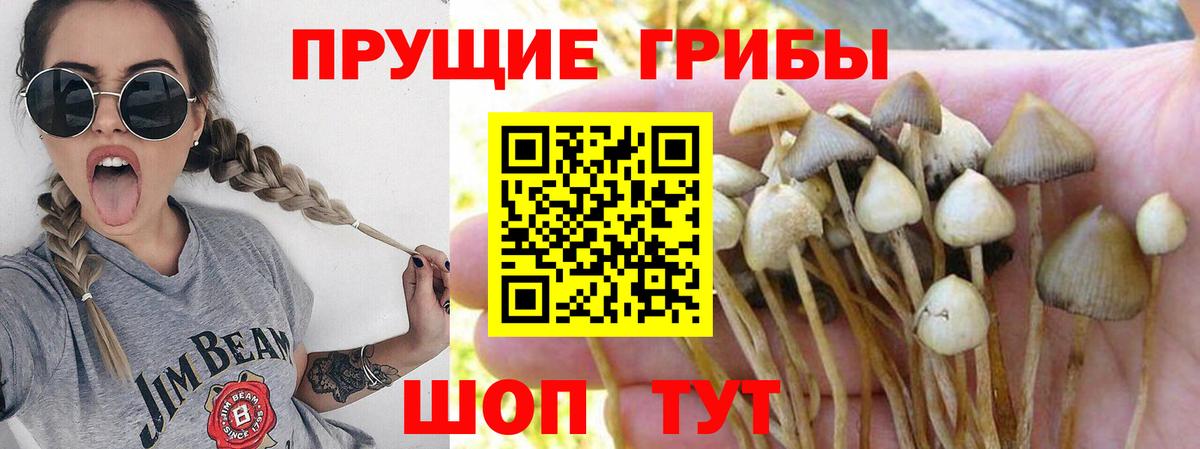 Галлюциногенные грибы ЛСД Еманжелинск